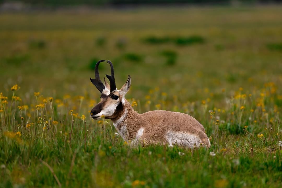 Guía Completa de Fotografía de Naturaleza en Tafí del Valle
