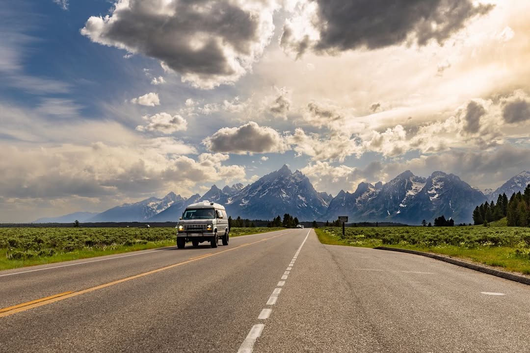 Macrofotografía de Arañas Lobo: Técnicas y Equipamiento