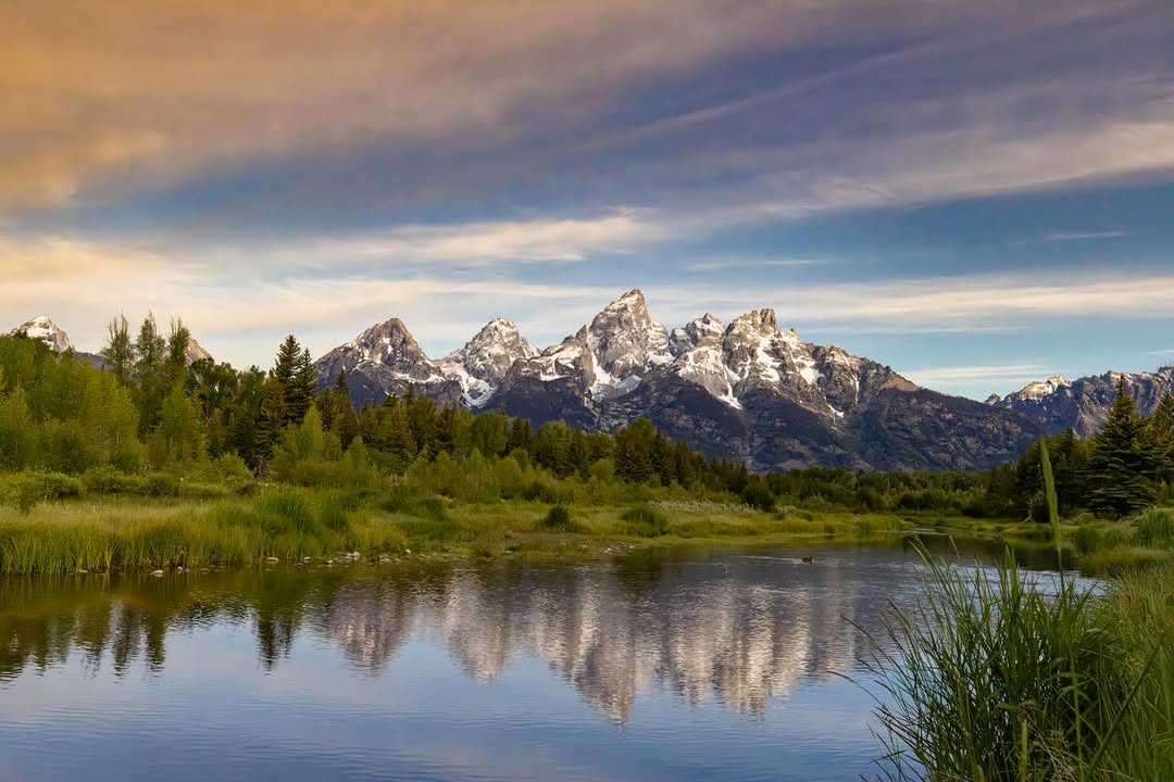 Equipamiento Esencial para Fotografía de Naturaleza