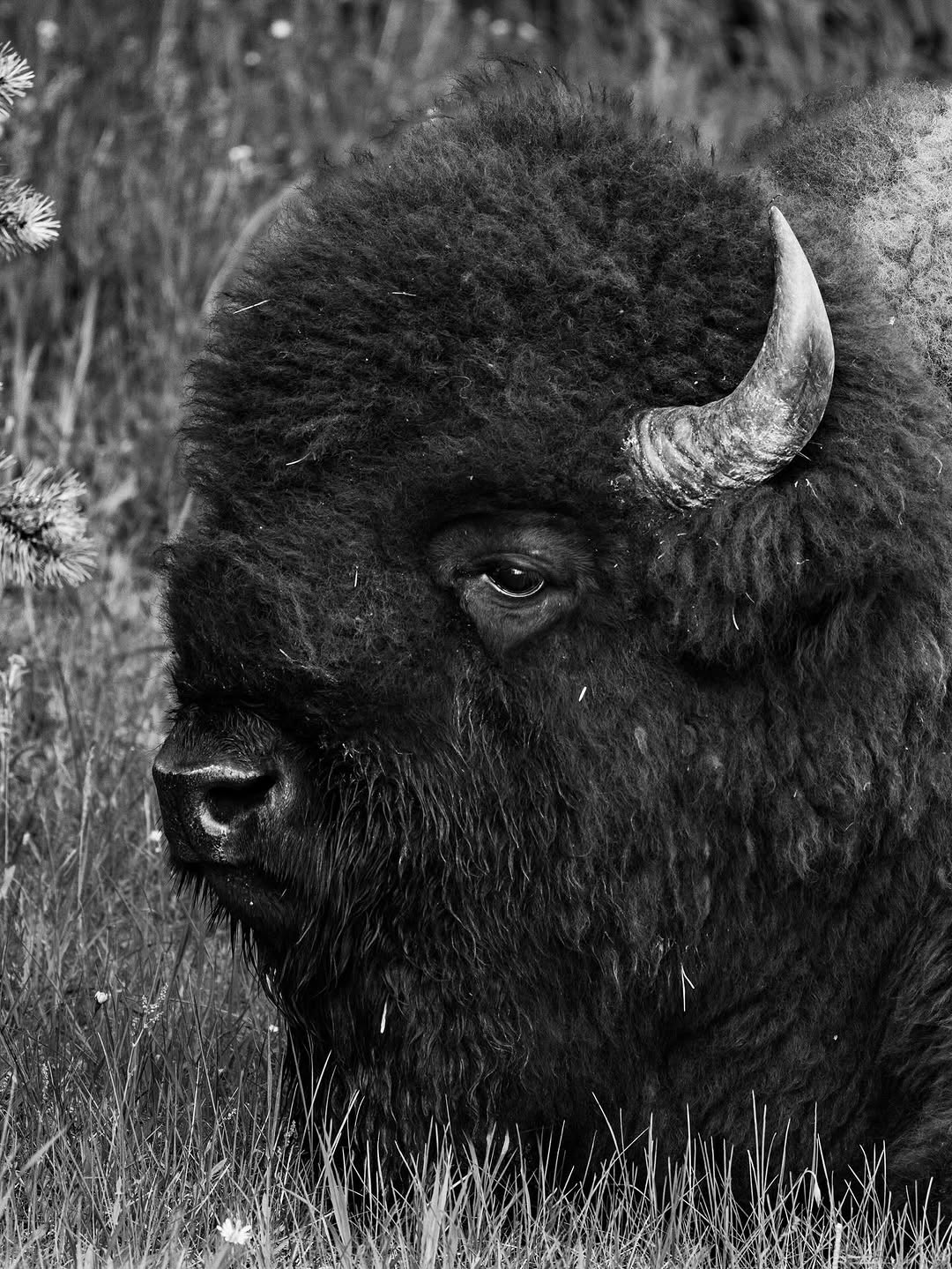 Vista Panorámica del Valle