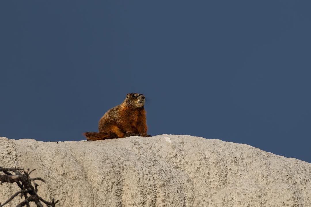 Paisaje del Cerro Muñoz al Atardecer