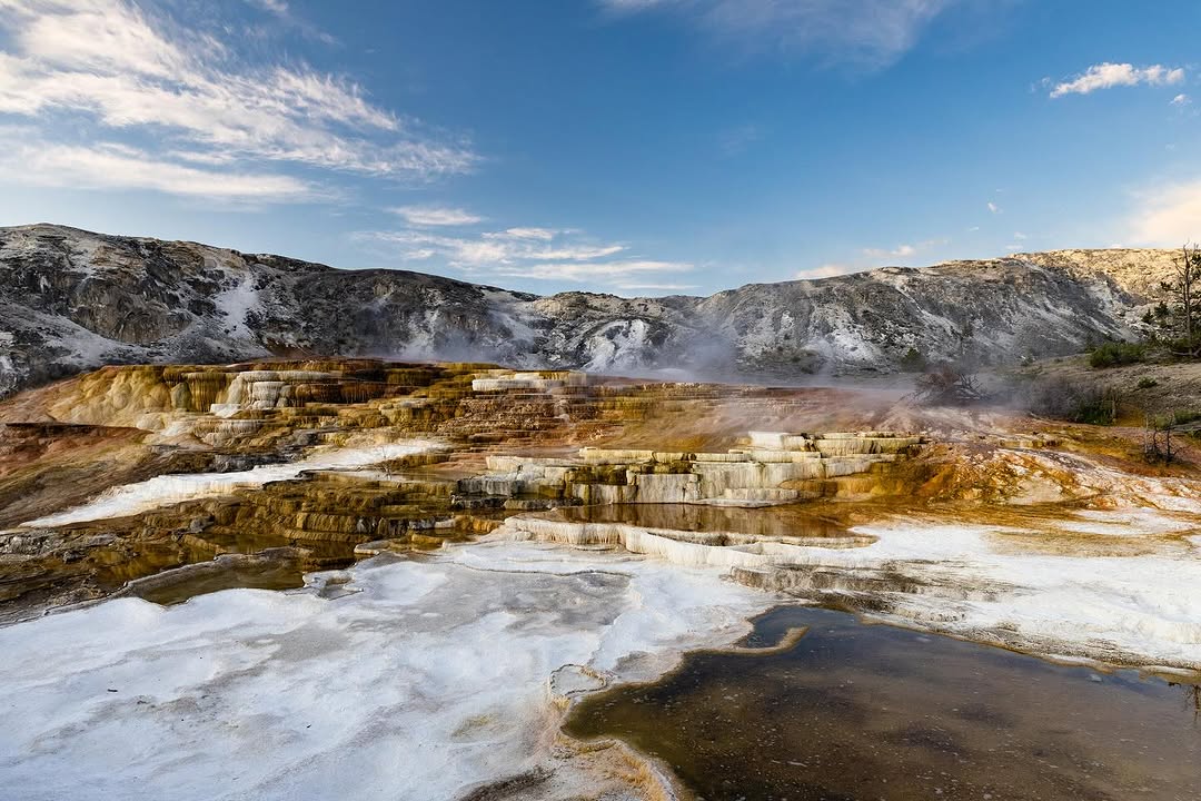 Paisaje de Los Castaños