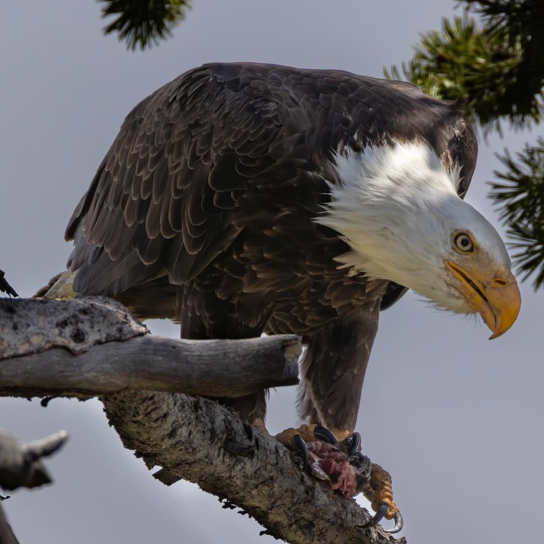 Paisaje Montañoso de Tafí del Valle